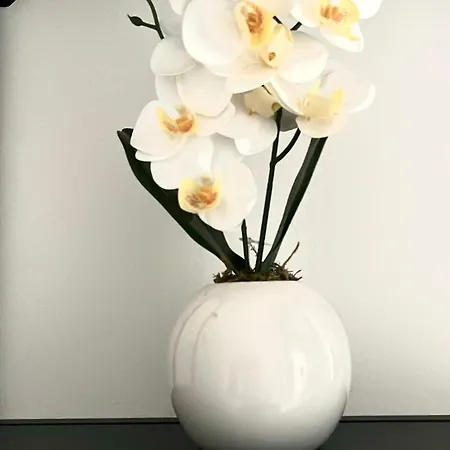 Casa Ada Apartamento *