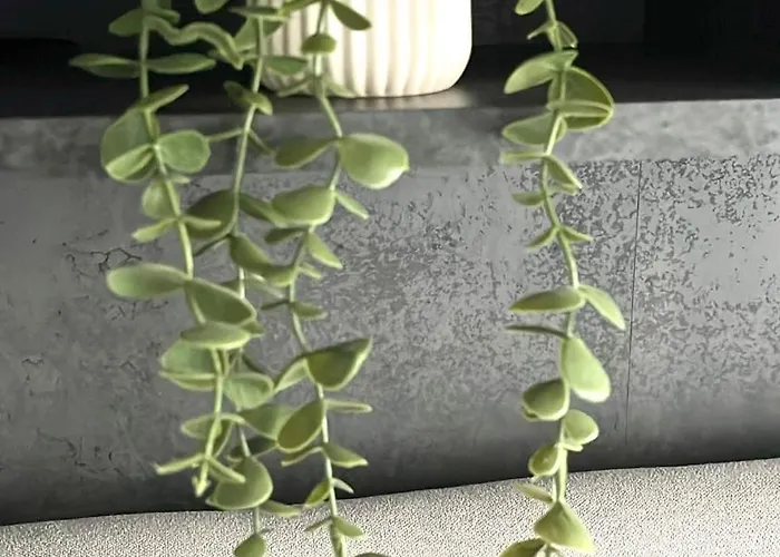 Casa Ada アパート *